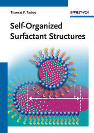 Self-Organized Surfactant Structures