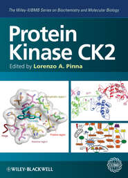 Protein Kinase CK2