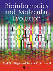 Bioinformatics and Molecular Evolution