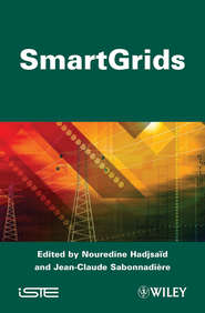 Smart Grids