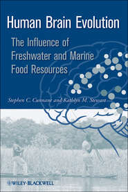 Human Brain Evolution. The Influence of Freshwater and Marine Food Resources