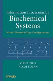 Information Processing by Biochemical Systems. Neural Network-Type Configurations