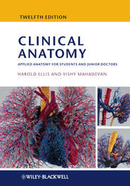 Clinical Anatomy. Applied Anatomy for Students and Junior Doctors