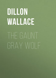 The Gaunt Gray Wolf