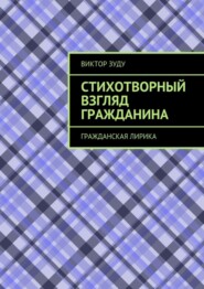 Стихотворный взгляд гражданина. Гражданская лирика