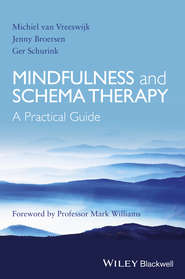 Mindfulness and Schema Therapy. A Practical Guide