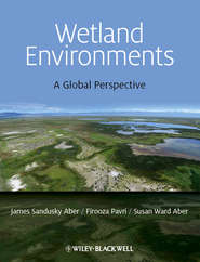 Wetland Environments. A Global Perspective