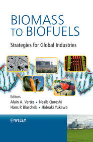 Biomass to Biofuels. Strategies for Global Industries