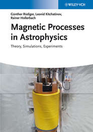 Magnetic Processes in Astrophysics. Theory, Simulations, Experiments