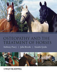 Osteopathy and the Treatment of Horses