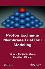 Proton Exchange Membrane Fuel Cells Modeling