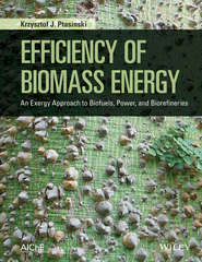 Efficiency of Biomass Energy. An Exergy Approach to Biofuels, Power, and Biorefineries