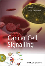 Cancer Cell Signalling