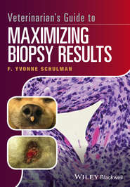 Veterinarian&apos;s Guide to Maximizing Biopsy Results