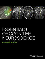 Essentials of Cognitive Neuroscience