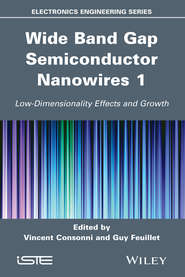 Wide Band Gap Semiconductor Nanowires for Optical Devices. Low-Dimensionality Related Effects and Growth