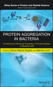 Protein Aggregation in Bacteria. Functional and Structural Properties of Inclusion Bodies in Bacterial Cells