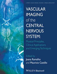 Vascular Imaging of the Central Nervous System. Physical Principles, Clinical Applications, and Emerging Techniques