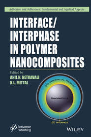 Interface / Interphase in Polymer Nanocomposites