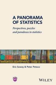 A Panorama of Statistics. Perspectives, Puzzles and Paradoxes in Statistics