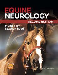 Equine Neurology