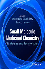 Small Molecule Medicinal Chemistry. Strategies and Technologies