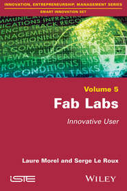 Fab Labs. Innovative User