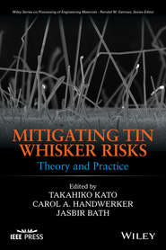 Mitigating Tin Whisker Risks. Theory and Practice