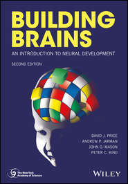 Building Brains. An Introduction to Neural Development