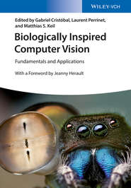 Biologically Inspired Computer Vision. Fundamentals and Applications