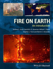 Fire on Earth. An Introduction