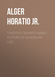 Timothy Crump&apos;s Ward: A Story of American Life