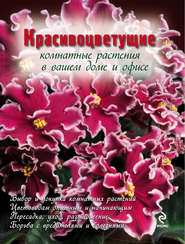 Красивоцветущие комнатные растения