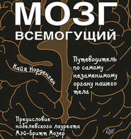 Мозг всемогущий. Путеводитель по самому незаменимому органу нашего тела