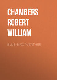 Blue-Bird Weather