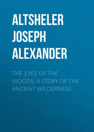 The Eyes of the Woods: A Story of the Ancient Wilderness