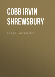 Cobb&apos;s Anatomy