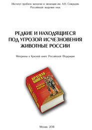 Редкие и находящиеся под угрозой исчезновения животные России