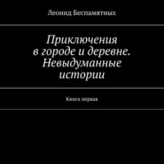 Приключения в городе и деревне. Невыдуманные истории. Книга первая