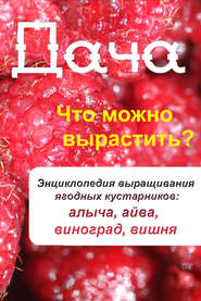 Что можно вырастить? Энциклопедия выращивания ягодных кустарников: алыча, айва, виноград, вишня