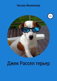 Джек Рассел терьер