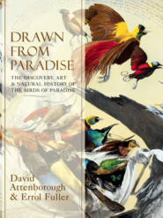 Drawn From Paradise: The Discovery, Art and Natural History of the Birds of Paradise