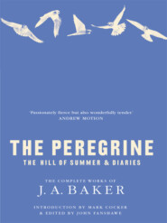 The Peregrine: The Hill of Summer & Diaries: The Complete Works of J. A. Baker