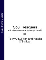 Soul Rescuers: A 21st century guide to the spirit world