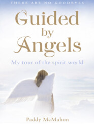 Guided By Angels: There Are No Goodbyes, My Tour of the Spirit World