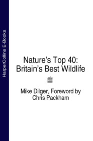 Nature’s Top 40: Britain’s Best Wildlife