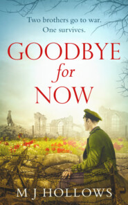 Goodbye for Now: A breathtaking historical debut