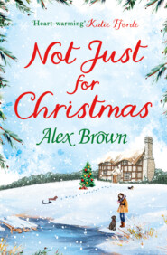 Not Just for Christmas: The perfect Christmas short romance