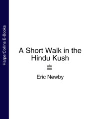 A Short Walk in the Hindu Kush