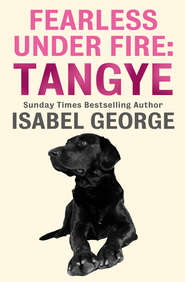 Fearless Under Fire: Tangye